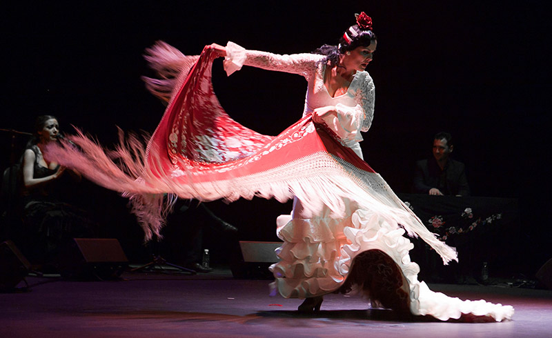 flamenknet